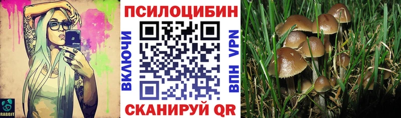 Купить где  Зарайск  Галлюциногенные грибы Magic Shrooms 